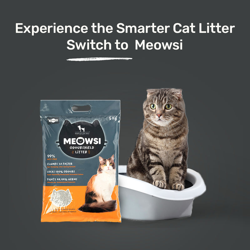Meowsi by HUFT OdourShield Cat Litter, unscented, 5 kg, 99% dust-free, clumps 3x faster, antibacterial protection.