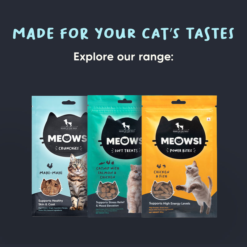 Meowsi by HUFT Mahi Mahi Fish Crunchies Cat Treats - 35 g - Heads Up For Tails