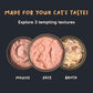 Meowsi by HUFT Chicken Breast Pate Canned Cat Wet Food - 80 gm - Heads Up For Tails