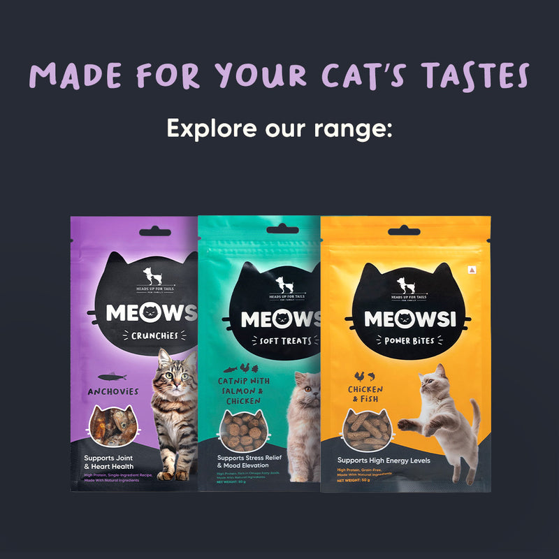 Meowsi by HUFT Dehydrated Anchovies Crunchies Cat Treats - 35 g - Heads Up For Tails