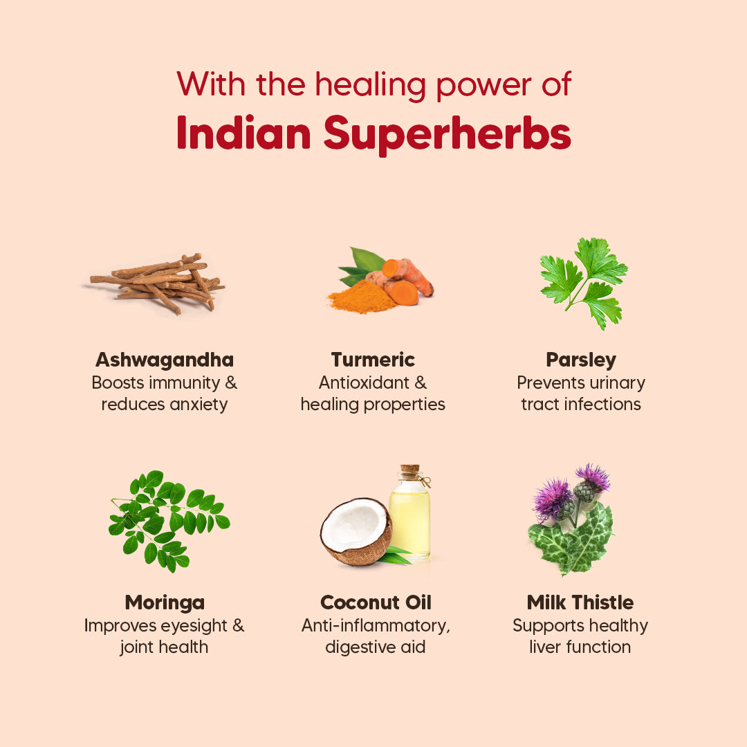 Hearty Chicken, Duck & Pumpkin Oven-Baked Dry Food For Adult Dog - All Breeds