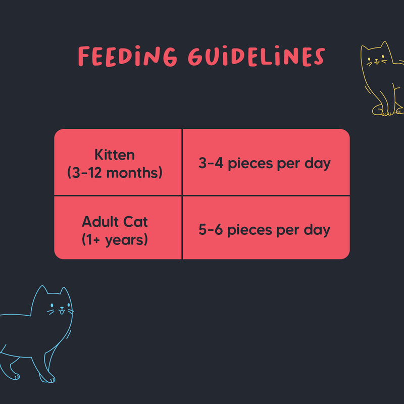Meowsi by HUFT Chicken, Fish & Cranberry Power Bites Cat Treats, 50 gm, supports bladder health with high protein.