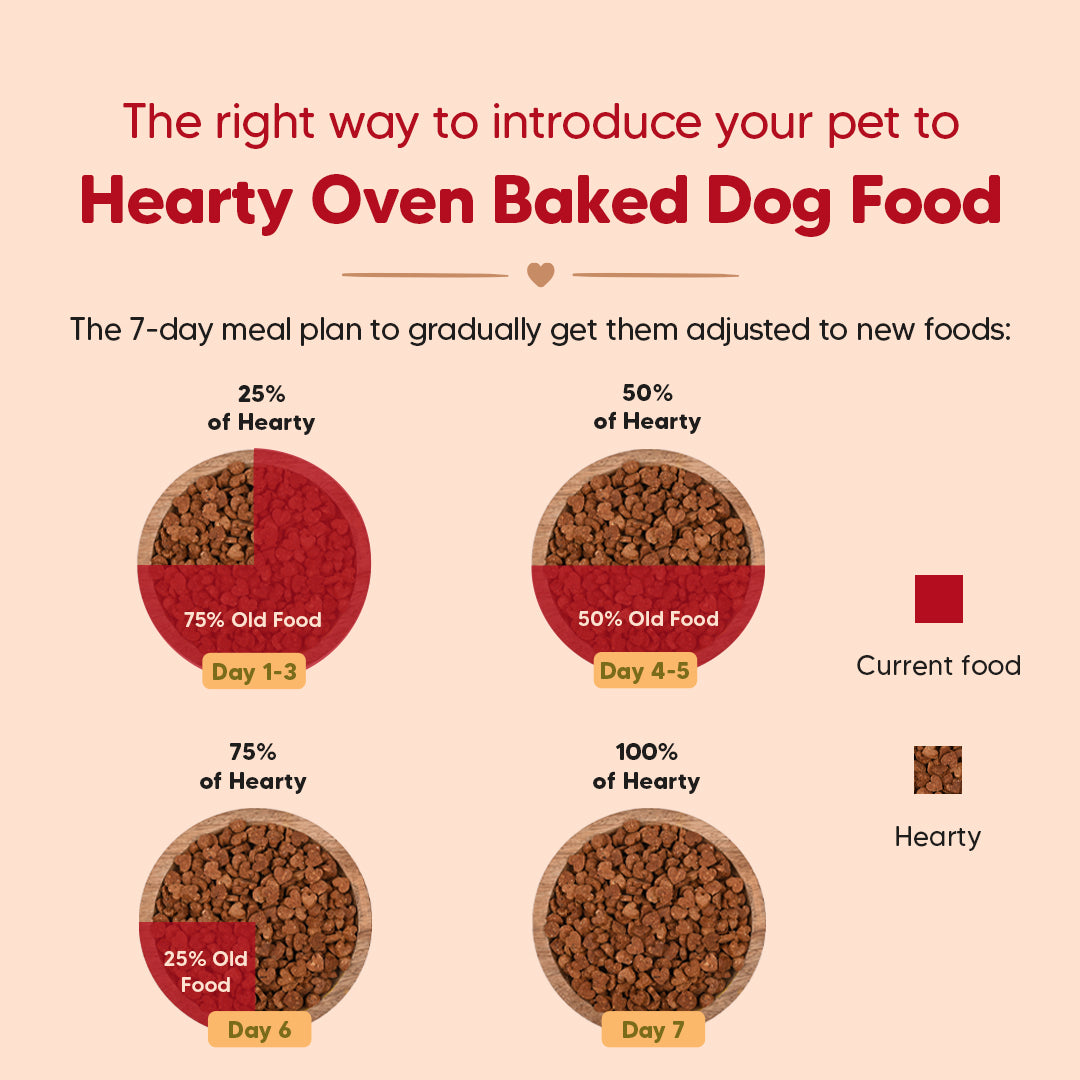 Hearty Turkey, Fish & Chicken Grain-Free Oven-Baked Dog Food, 2 kg, suitable for all breeds, by Heads Up for Tails.