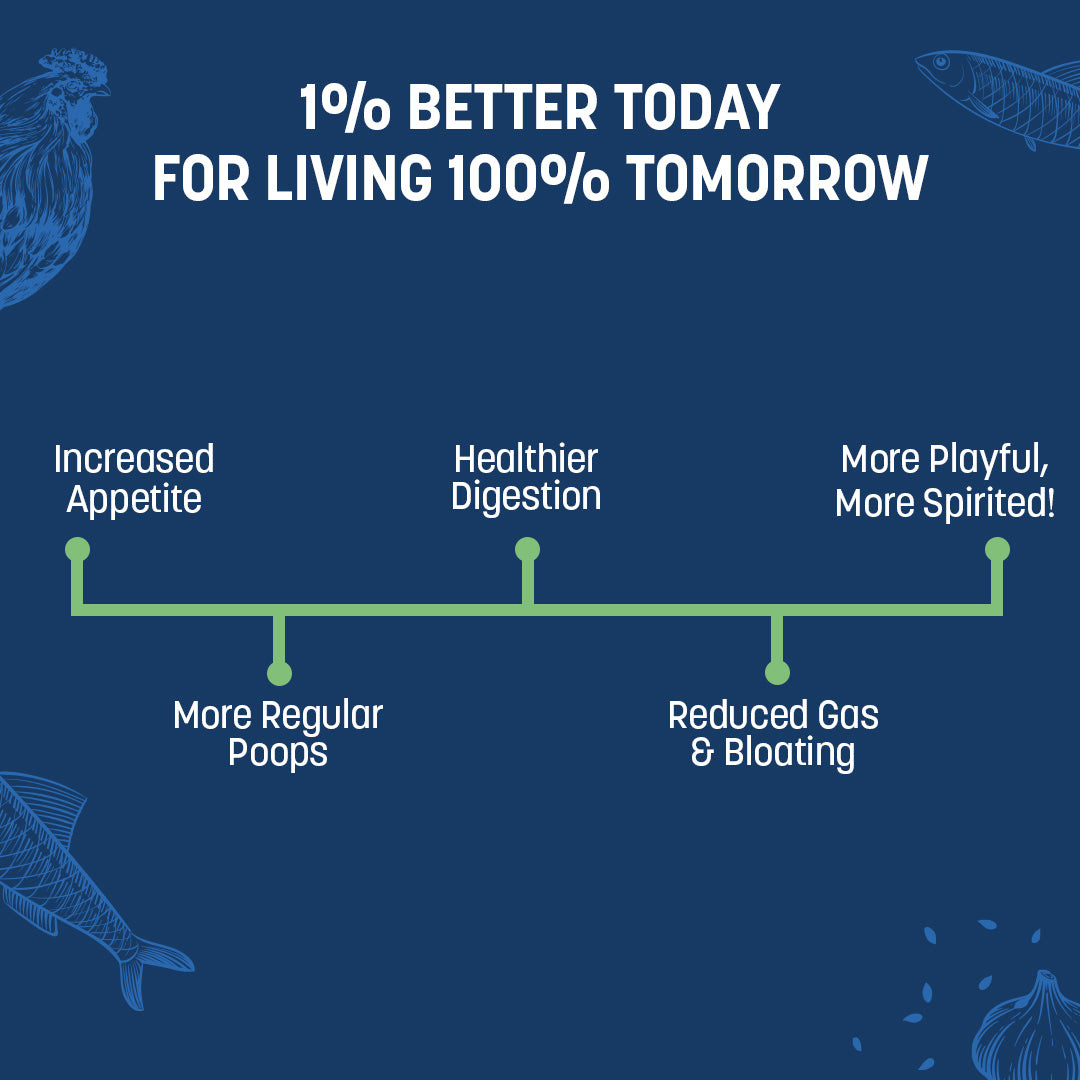 Sara's Boosters Gut & Digestive Health Supplement for Dogs, 200 gm, a blend of prebiotics and probiotics with enzymes.