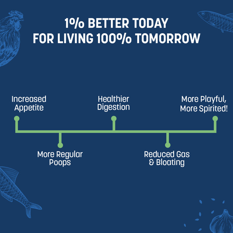 Sara's Boosters Gut & Digestive Health Supplement for Dogs, 200 gm, a blend of prebiotics and probiotics with enzymes.