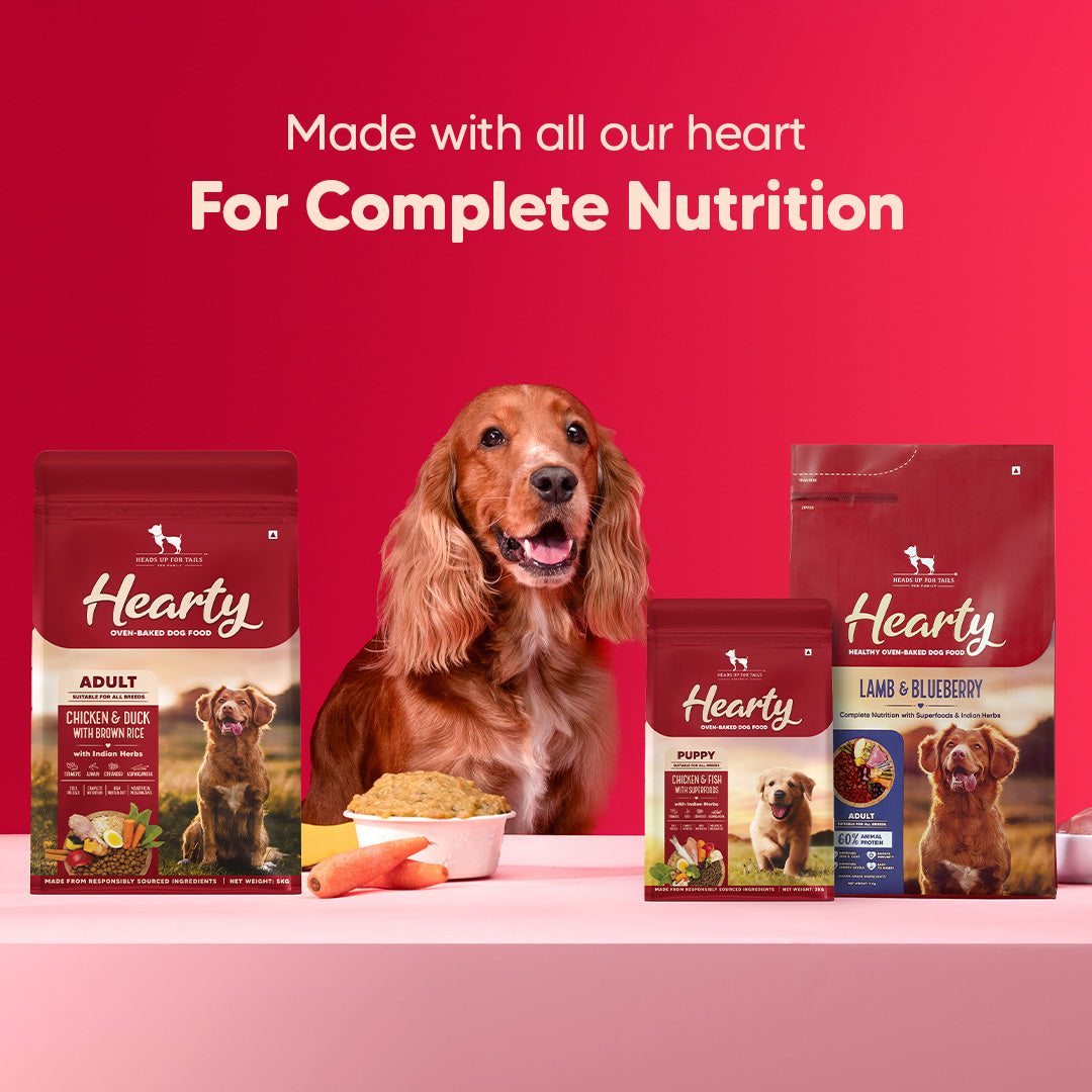 Hearty Lamb & Blueberry Oven-Baked Adult Dog Food by Heads Up for Tails, suitable for all breeds, 60% animal protein.