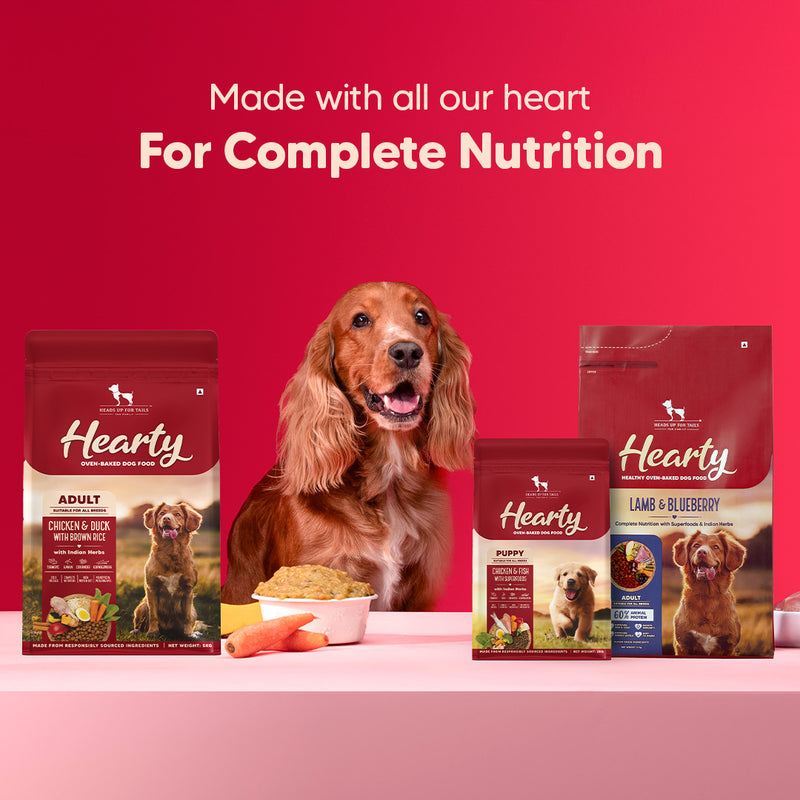 Hearty Lamb & Blueberry Oven-Baked Adult Dog Food by Heads Up for Tails, suitable for all breeds, 60% animal protein.