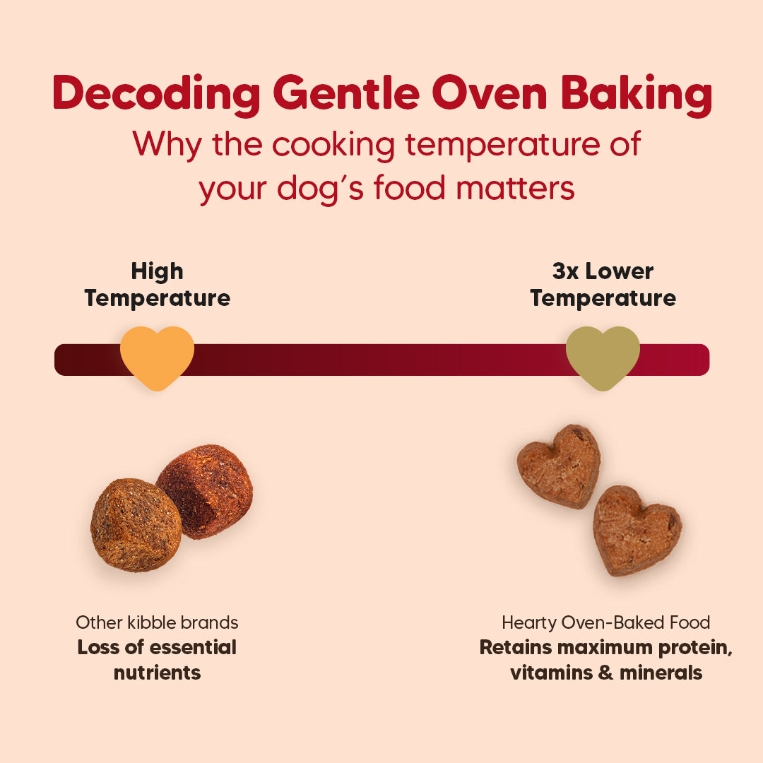 Hearty Chicken, Duck & Pumpkin Oven-Baked Dry Food For Adult Dog - All Breeds