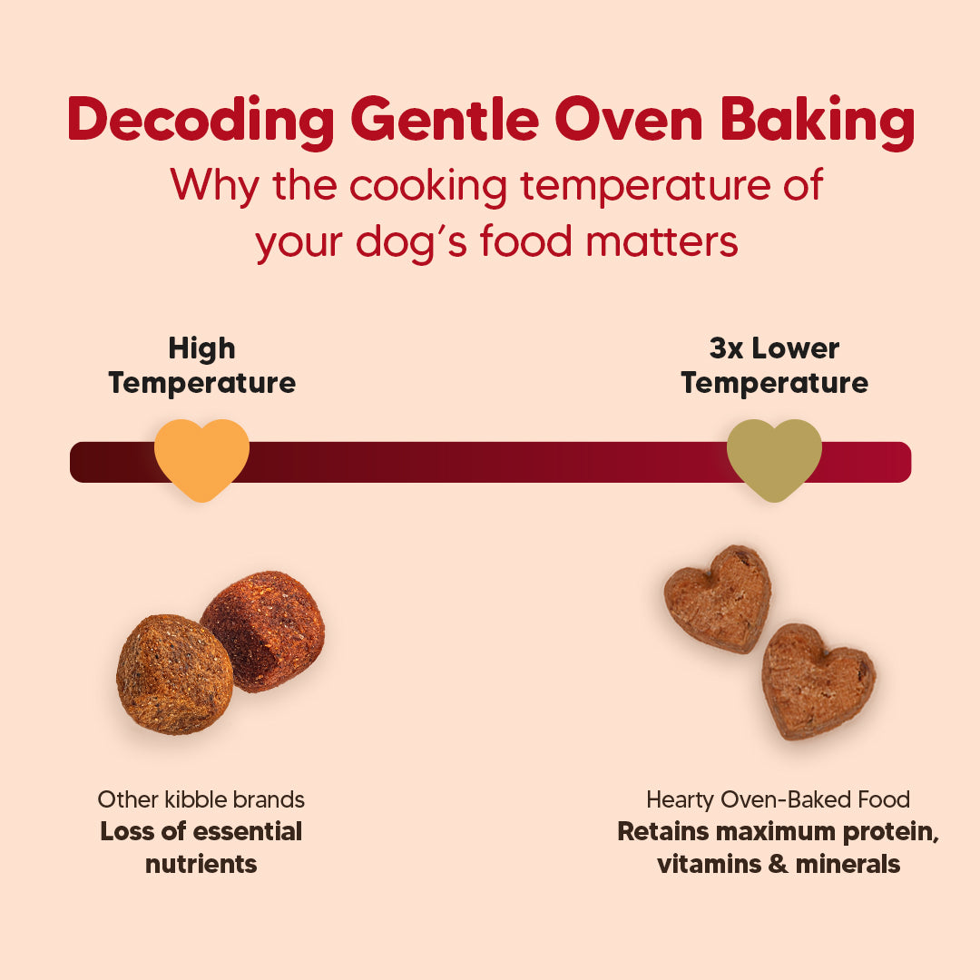 Hearty Lamb & Blueberry Oven-Baked Adult Dog Food by Heads Up for Tails, suitable for all breeds, 60% animal protein.