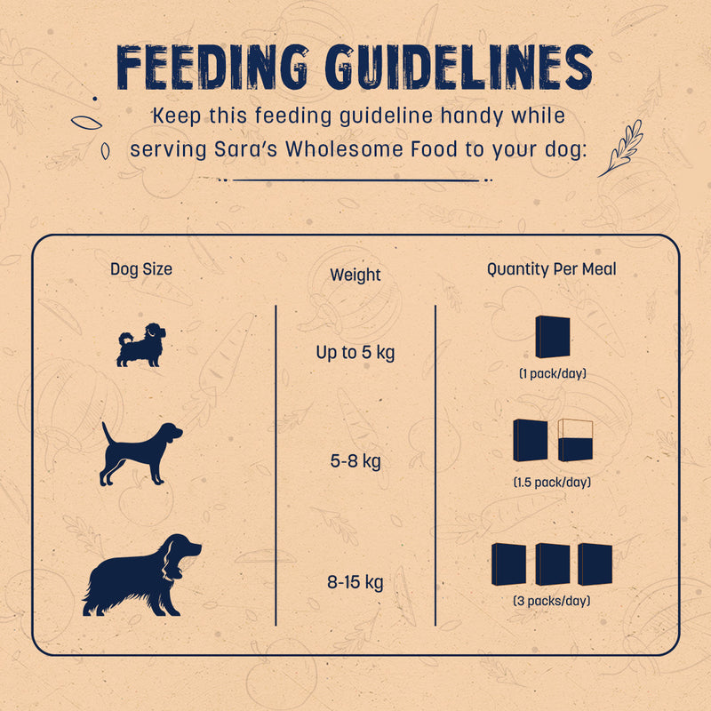 Sara's Wholesome Grain-Free Chicken and Turkey Dog Food, pack of 10 x 100g, made with human-grade ingredients.