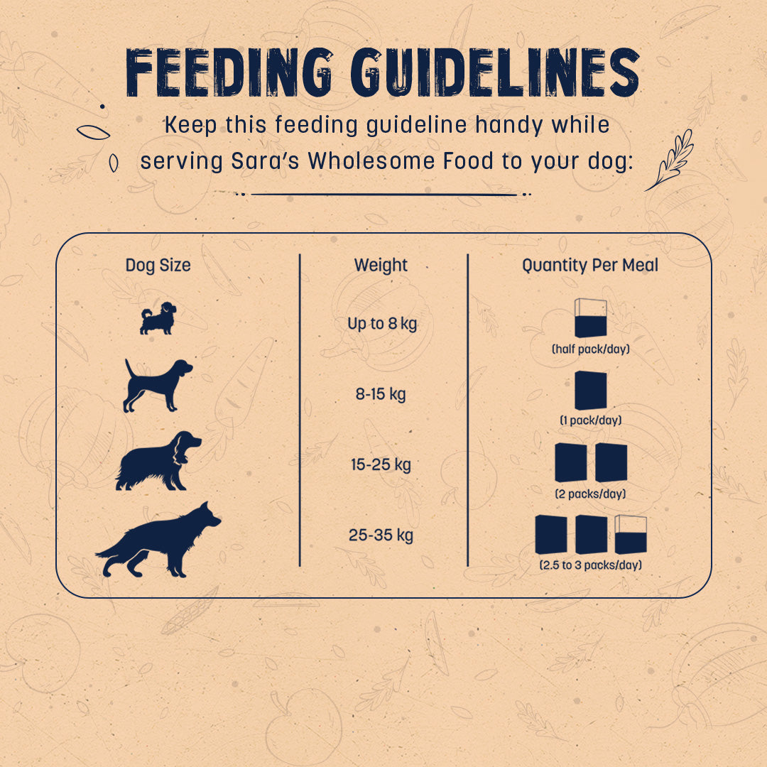 HUFT Sara's Wholesome All in One (100g) Combo Food For Dogs (4 x 100 g) - Heads Up For Tails
