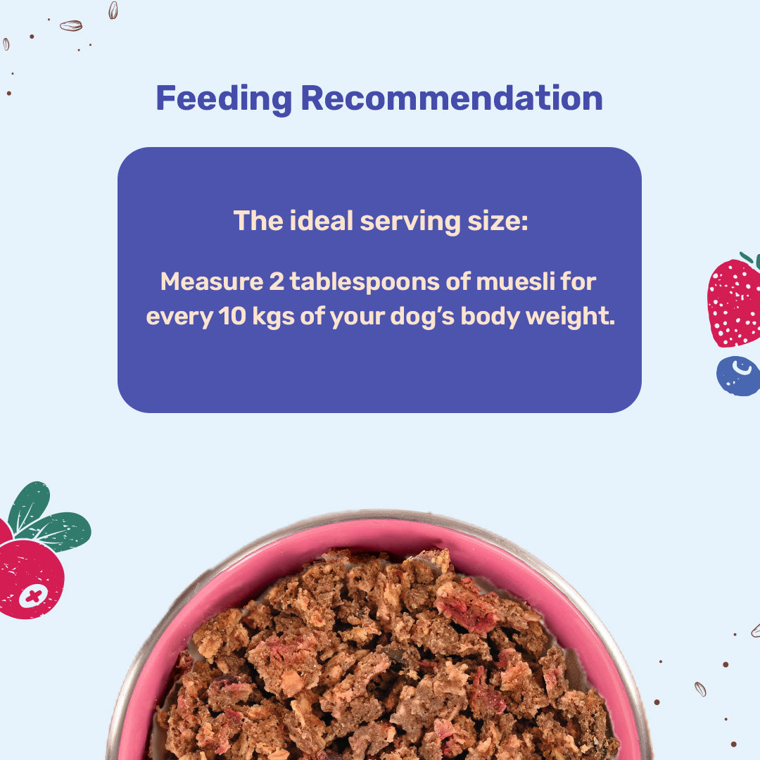HUFT All Day Muesli with Strawberry, Blueberry and Cranberry Doggie Treats - 250 g - Heads Up For Tails