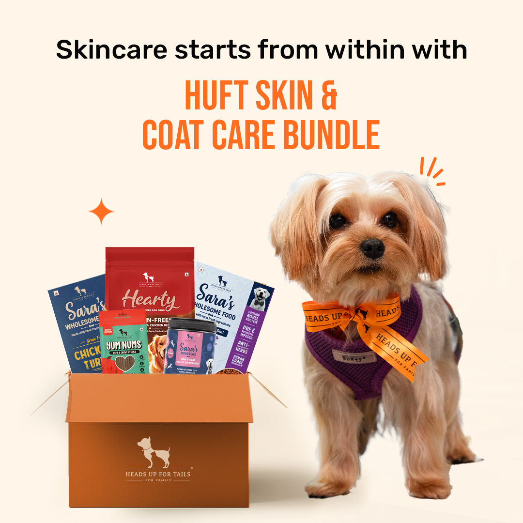 HUFT Skin & Coat Care Bundle - Heads Up For Tails