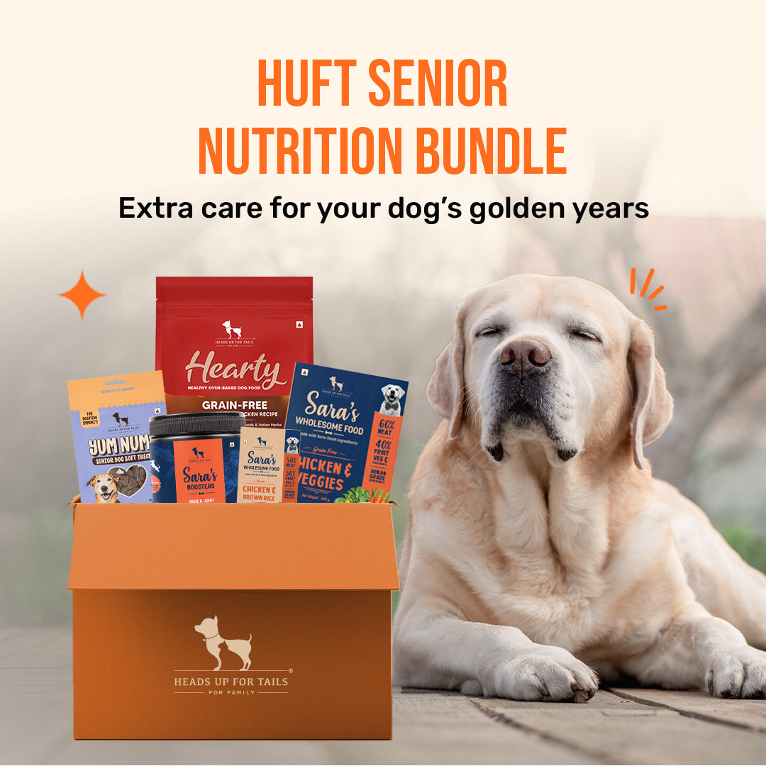 HUFT Senior Nutrition Bundle - Heads Up For Tails