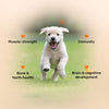 HUFT Puppy Nutrition Bundle - Heads Up For Tails