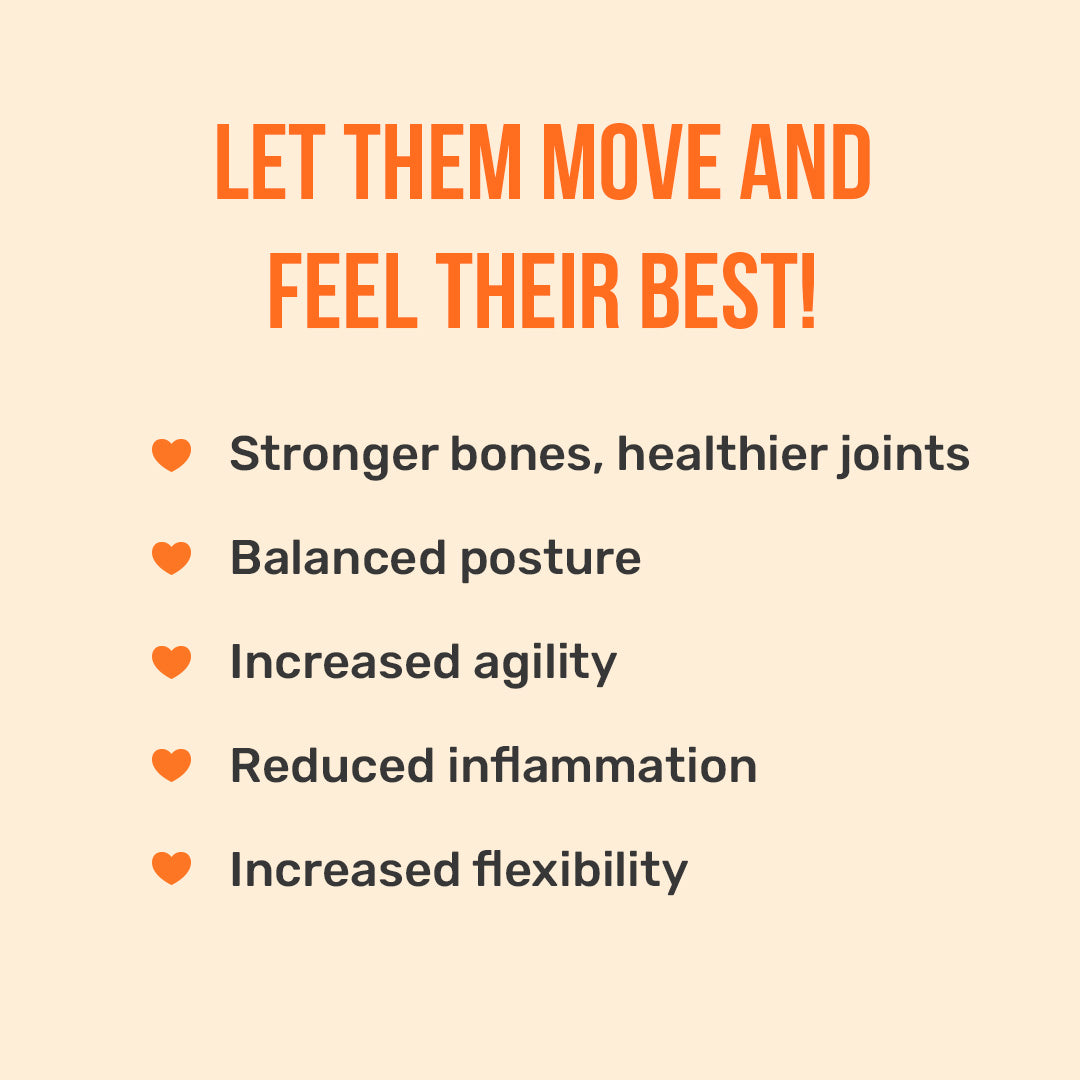 HUFT Bone & Joint Health Bundle