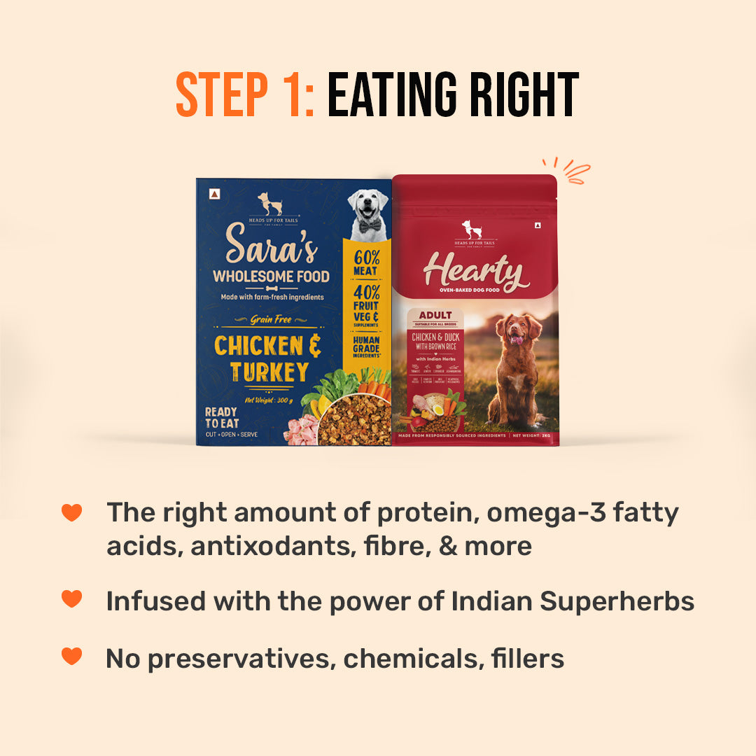 HUFT Agility Power Bundle