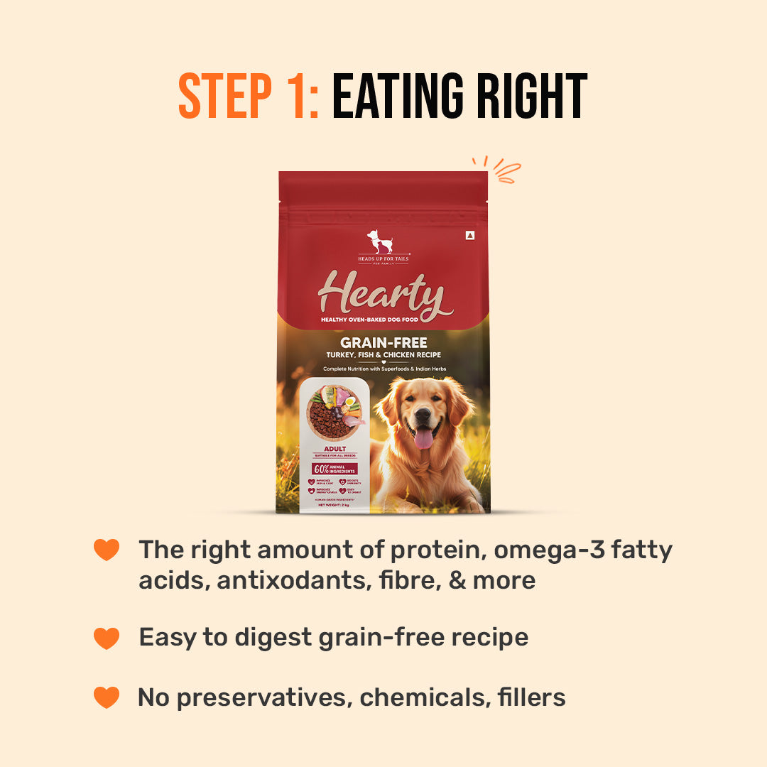 HUFT Bone & Joint Health Bundle