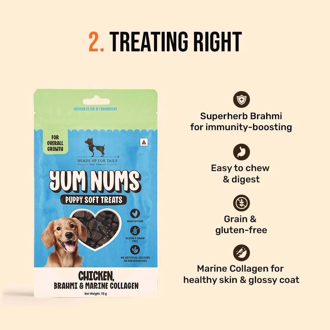 HUFT Puppy Nutrition Bundle