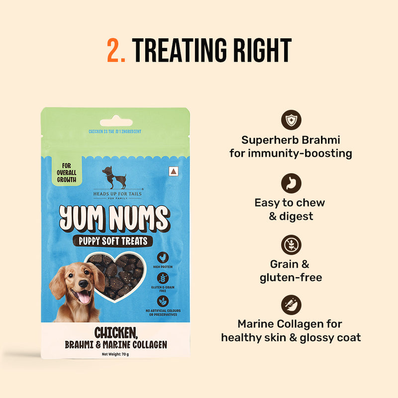 HUFT Puppy Nutrition Bundle - Heads Up For Tails
