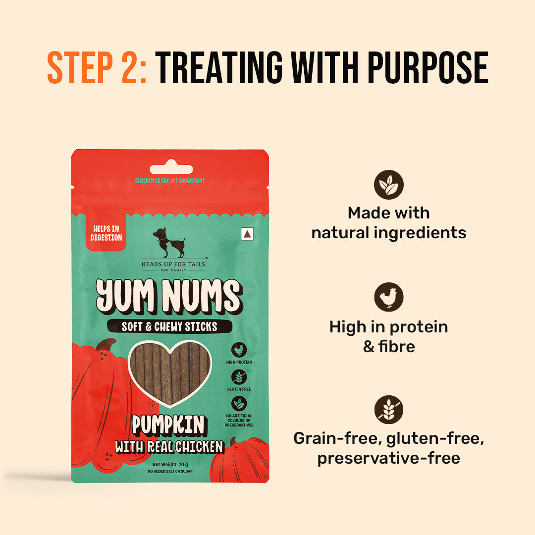 HUFT Skin & Coat Care Bundle