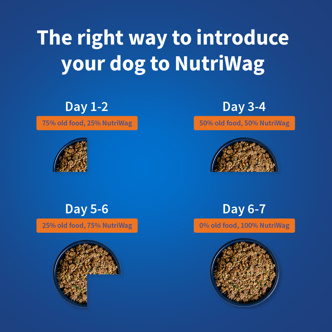 NutriWag Complete Wet Meals With Chicken, Rice & Pumpkin For Dog