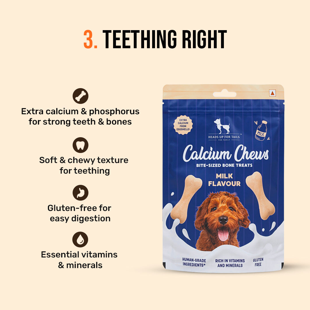 HUFT Puppy Nutrition Bundle