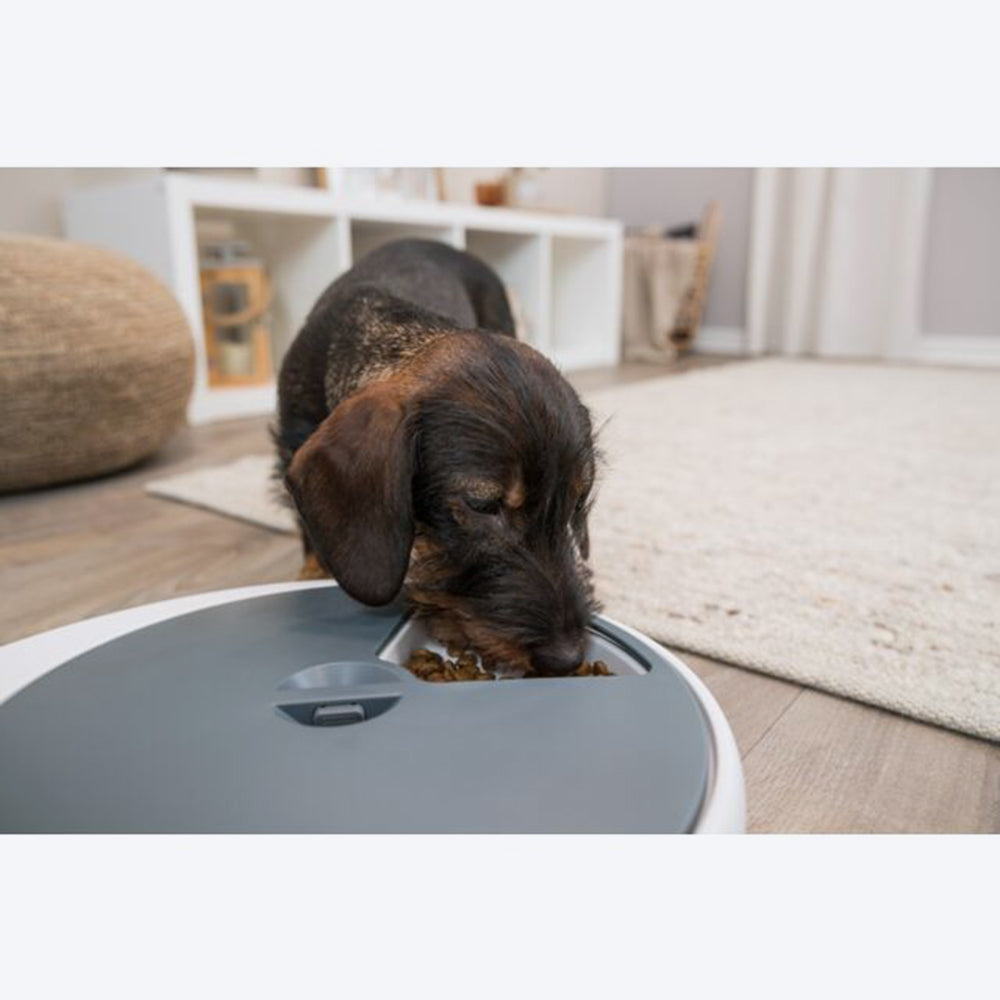 Trixie TX4+1 Automatic Food Dispenser For Pets - White & Grey_02