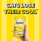 Temptations Cat Treat Tasty Chicken Flavour - 85g - Heads Up For Tails