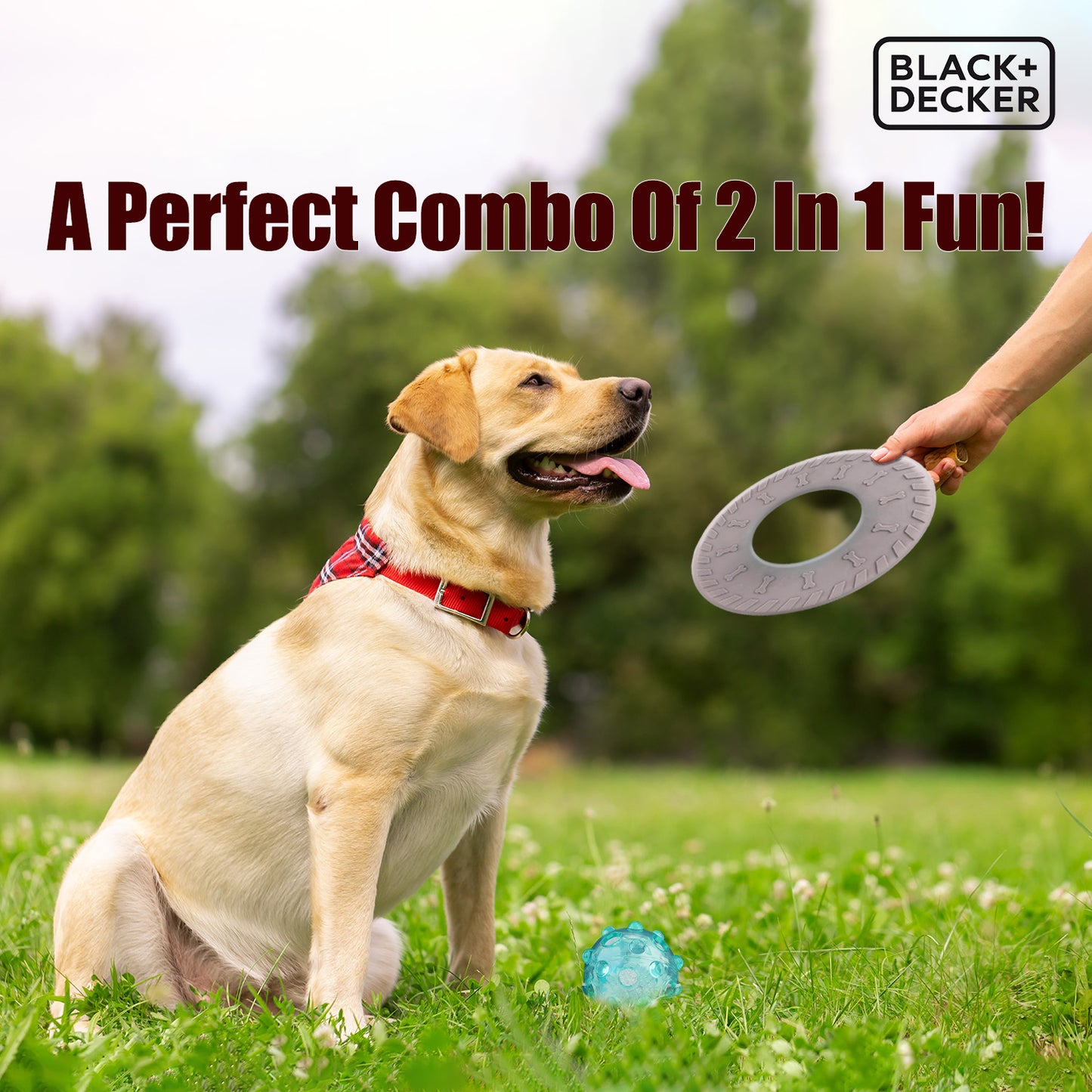 Black+Decker Flying Disk With Light Ball Fetch Toy For Dogs - Grey - Heads Up For Tails