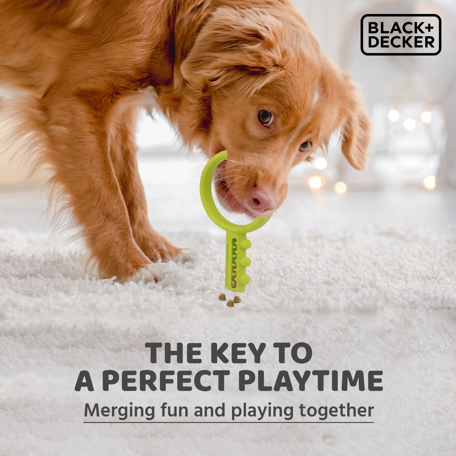 Black+Decker Key Tug, Float Fetch Toy For Dogs - Heads Up For Tails