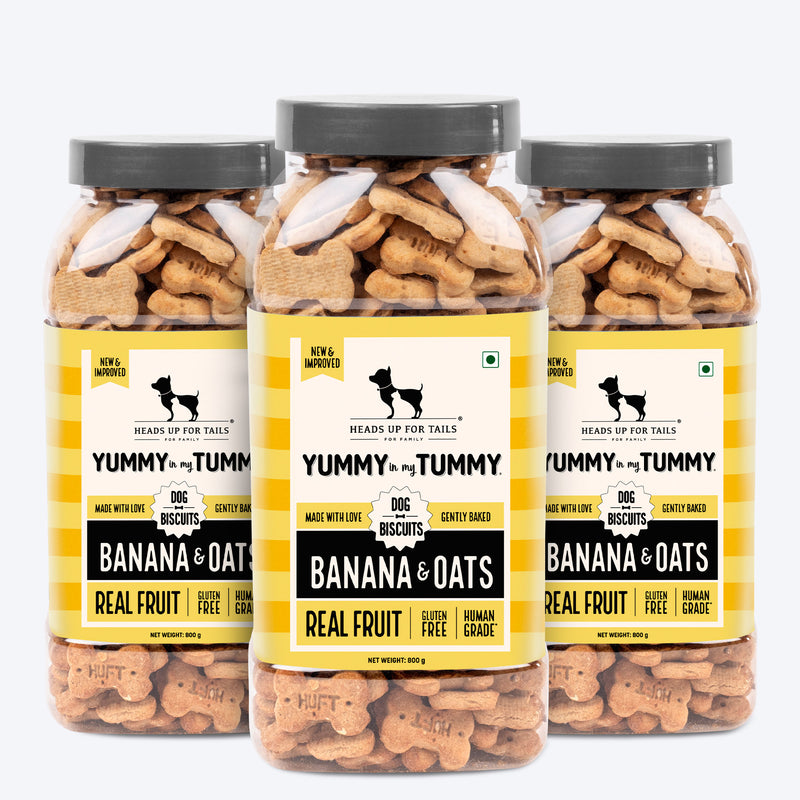 Heads Up for Tails Yummy in my Tummy Banana & Oats dog biscuits, 800g, gluten-free, gently baked, real fruit