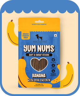 Banana & Real Chicken