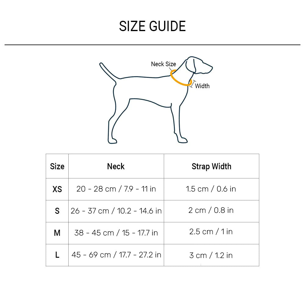HUFT Basics Dog Collar - Teal Blue - Heads Up For Tails