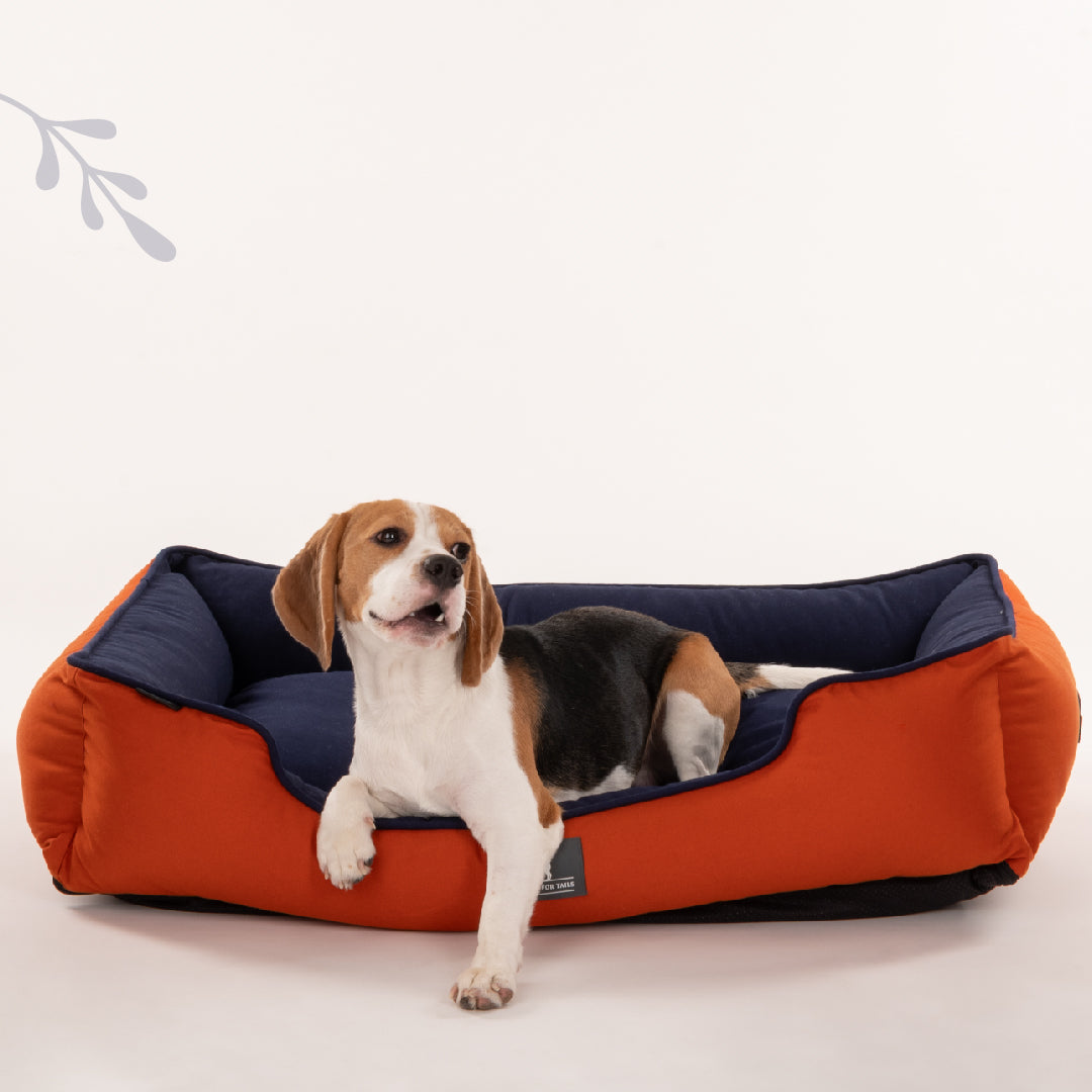 HUFT Classic Lounger Dog Bed - Navy & Rust - Heads Up For Tails