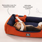 HUFT Classic Lounger Dog Bed - Navy & Rust - Heads Up For Tails