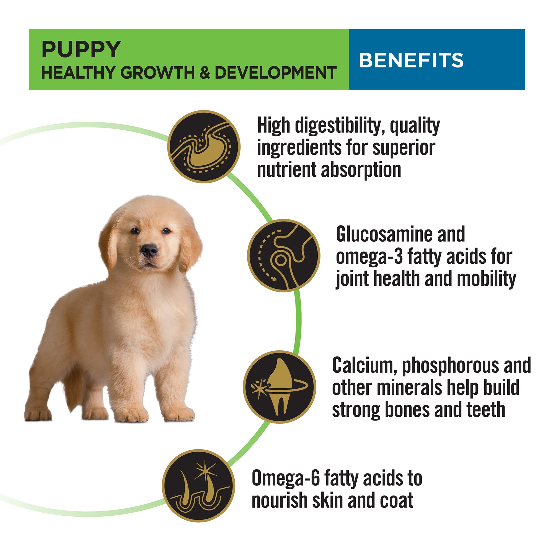 PURINA PRO PLAN Large Breed Dry Food For Puppy - Heads Up For Tails