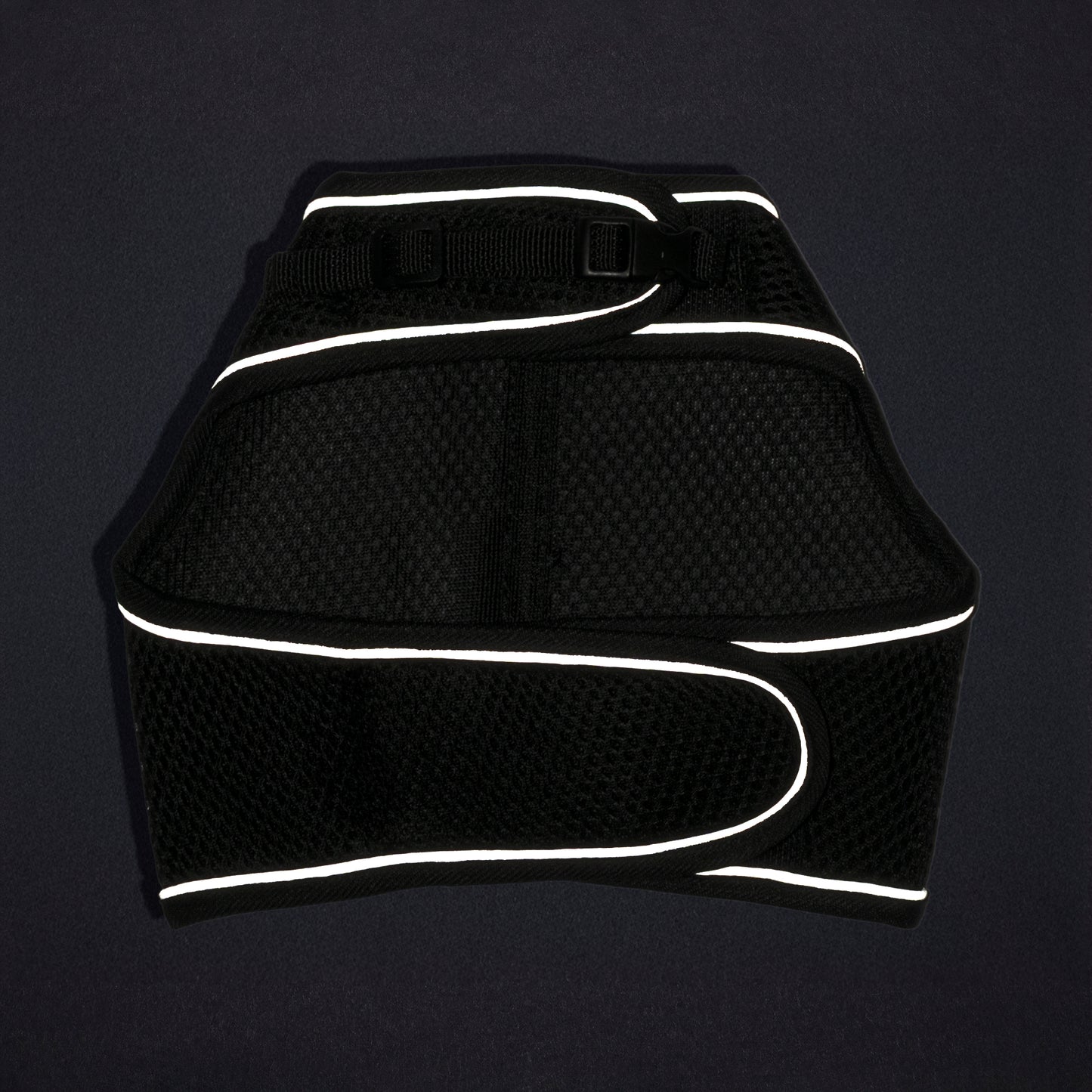 HUFT Essential Harness & Leash Set For Cat - Black - Heads Up For Tails