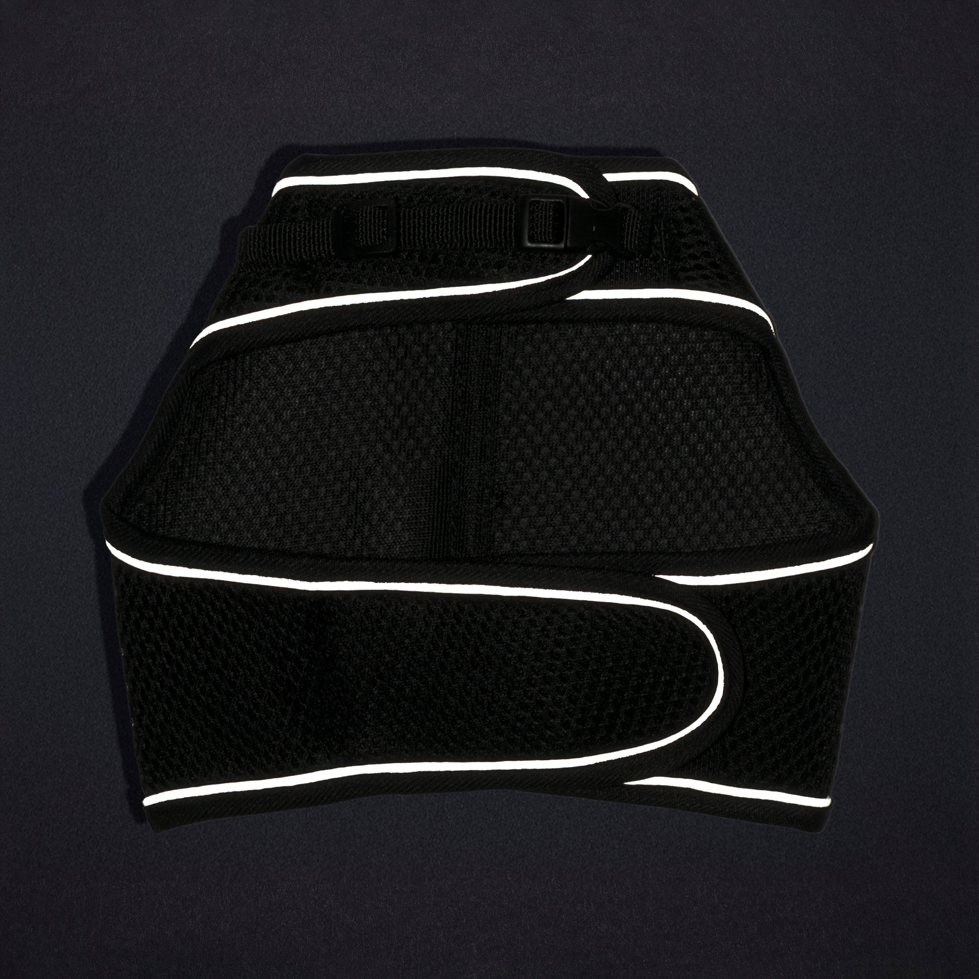 HUFT Essential Harness & Leash Set For Cat - Black - Heads Up For Tails