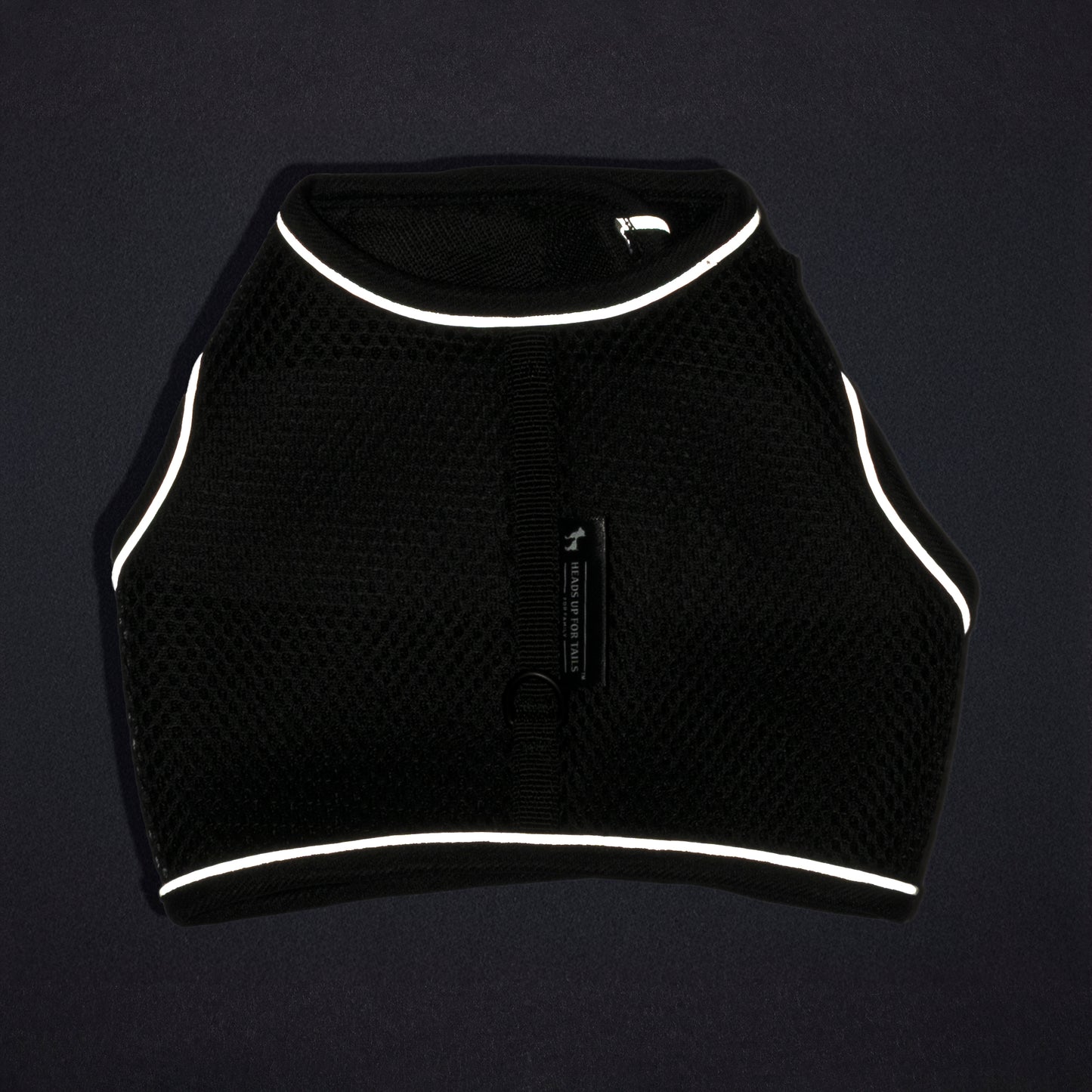 HUFT Essential Harness & Leash Set For Cat - Black - Heads Up For Tails