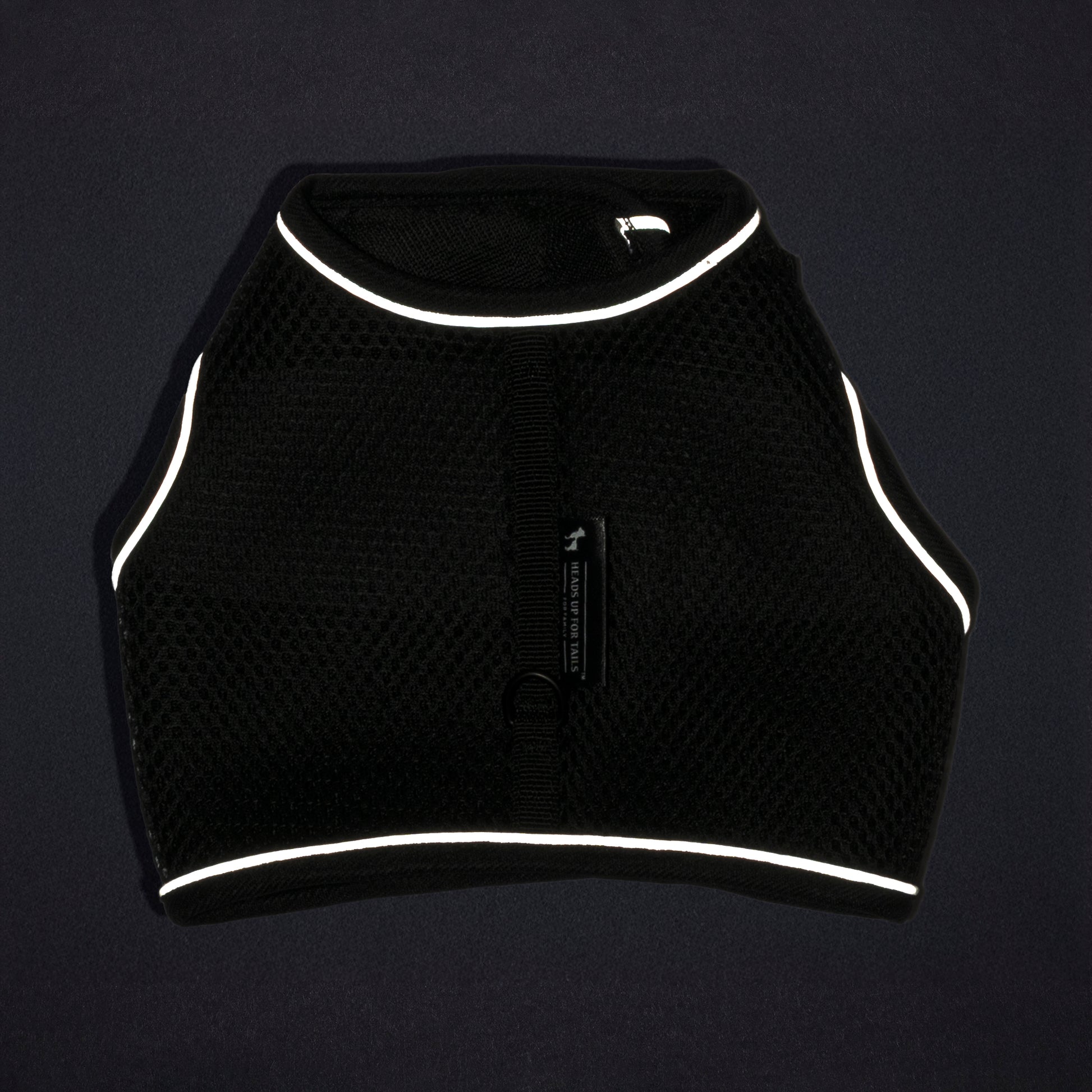 HUFT Essential Harness & Leash Set For Cat - Black - Heads Up For Tails