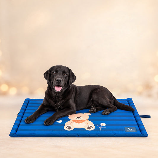 HUFT Bear Hug Mat For Dog & Cat - Blue