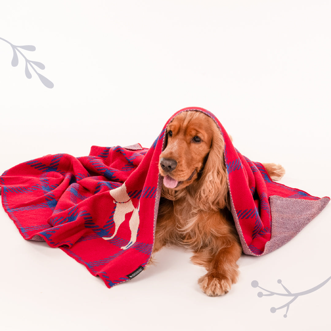 Red best sale dog blanket