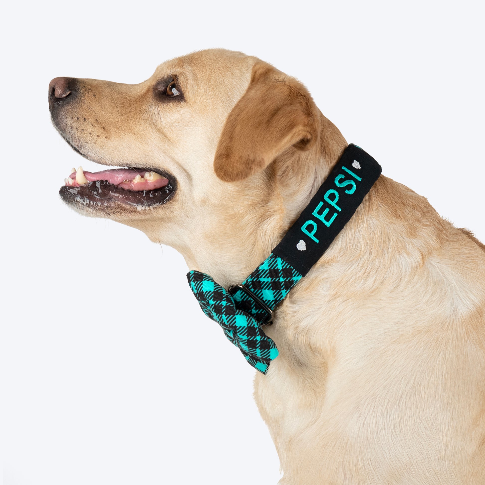 HUFT Personalised Tartan Fabric Collar With Bow Tie For Dog Blue