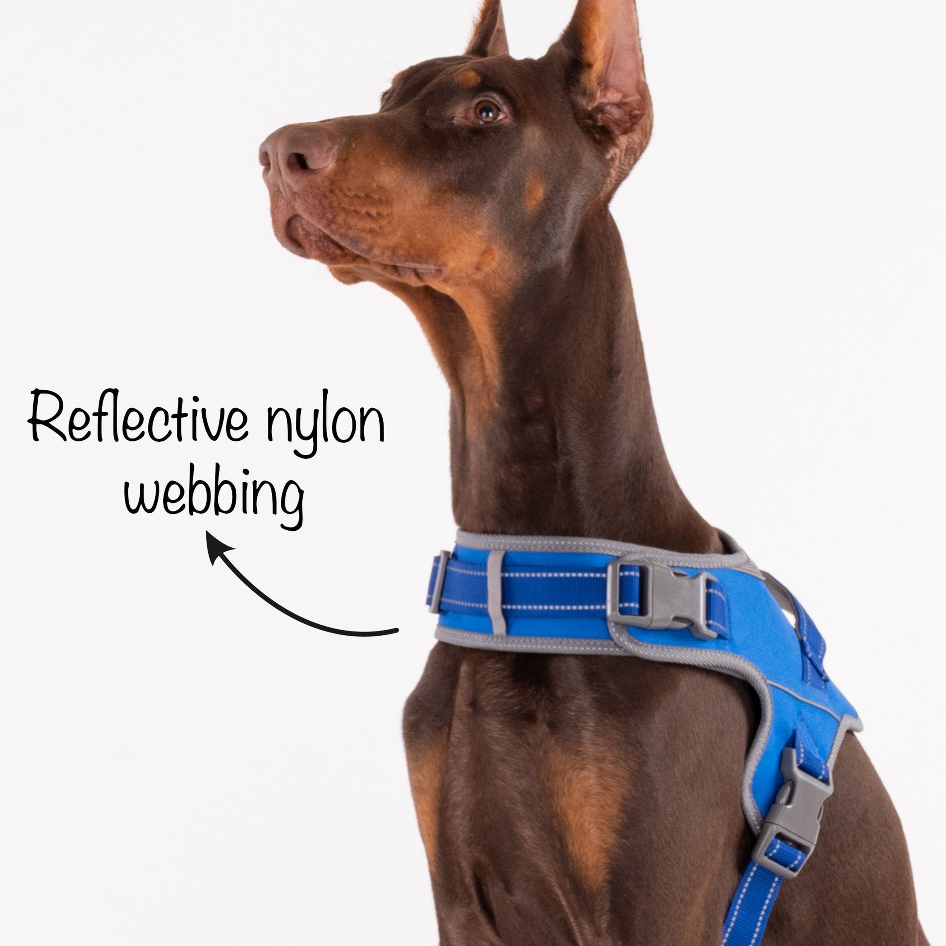 HUFT Easy On Dog Harness - Blue - Heads Up For Tails