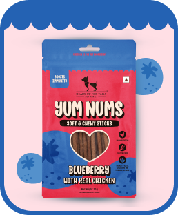 Blueberry & Real Chicken