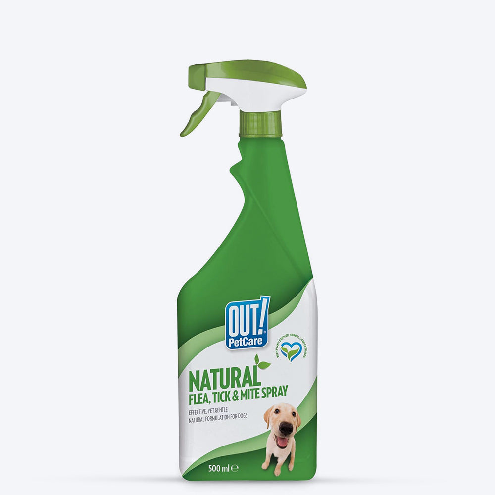 Bramton OUT! Natural Flea & Tick Spray - 500 ml_01