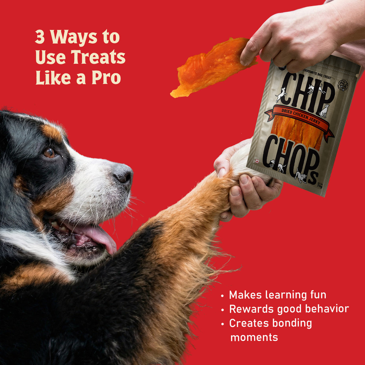 Chip Chops Sun Dried Chicken Jerky Treats For Dog