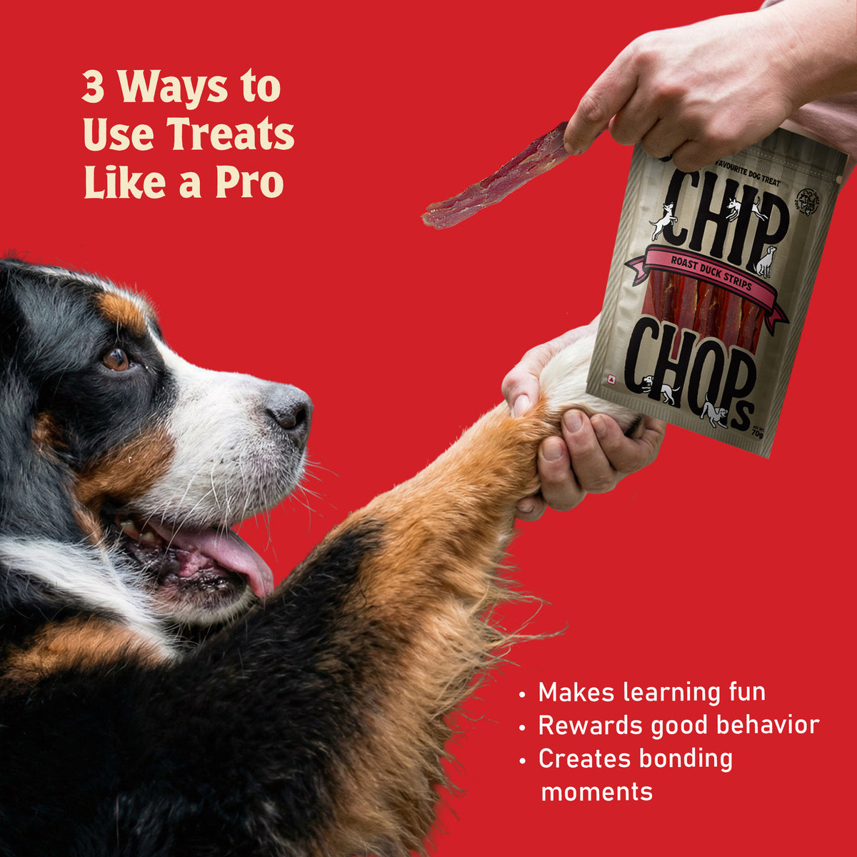 Chip Chops Roast Duck Treats For Dog - 70 g