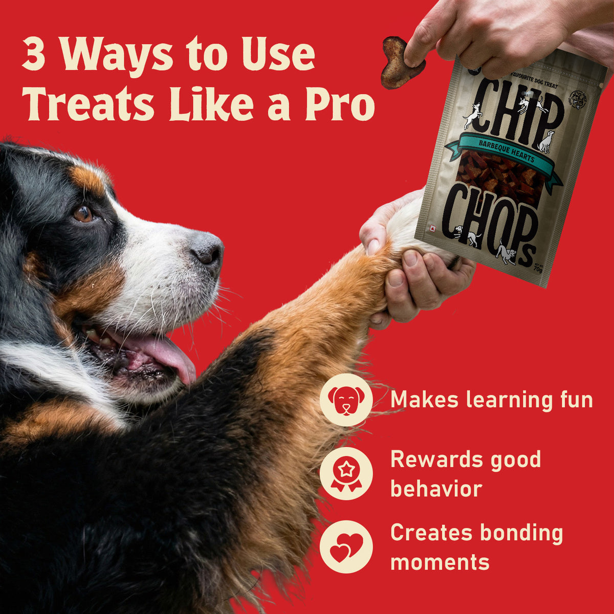 Chip Chops Barbeque Hearts Treats For Dog - 70 g